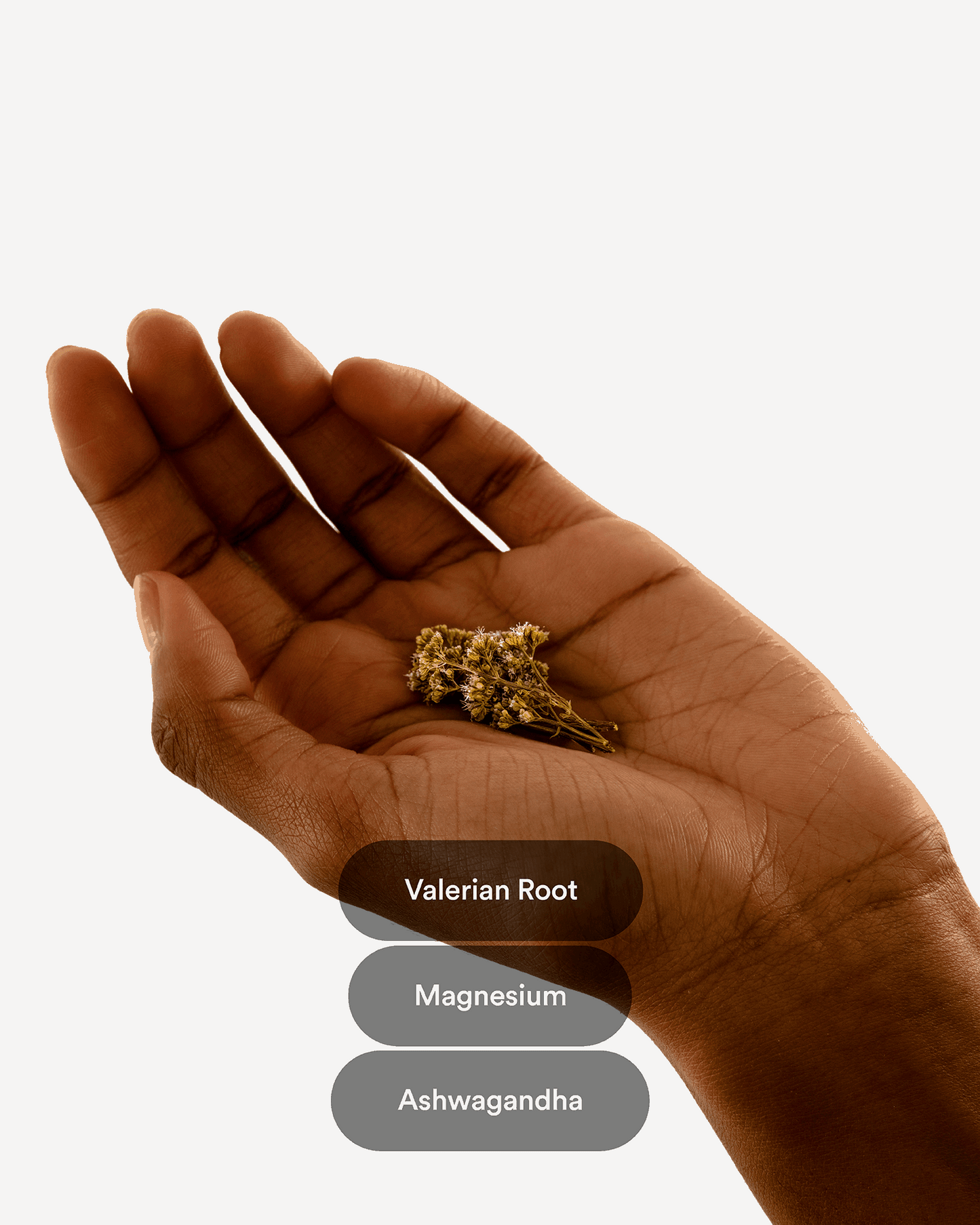 Dream Patches Valerian Root - Extra Strong